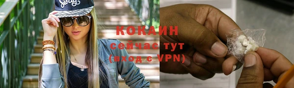 соль ск Белокуриха