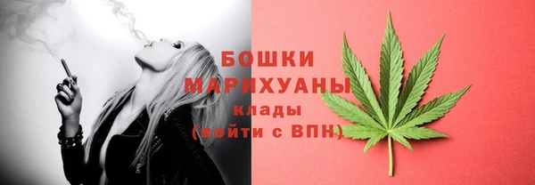 дмт Переславль-Залесский