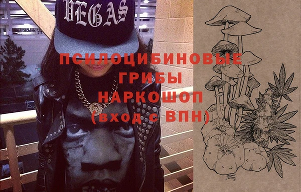 ГАЛЛЮЦИНОГЕННЫЕ ГРИБЫ Пересвет